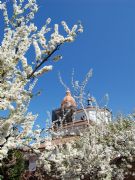 Primavera en Rueda